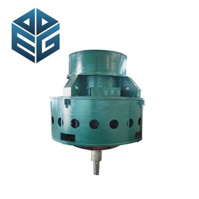 YL Series vertical high voltage induction motors